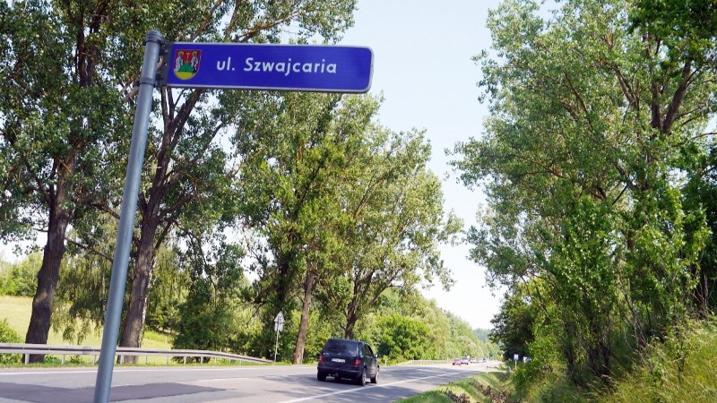 W Suwałkach będą protestować przeciwko wycince lasów