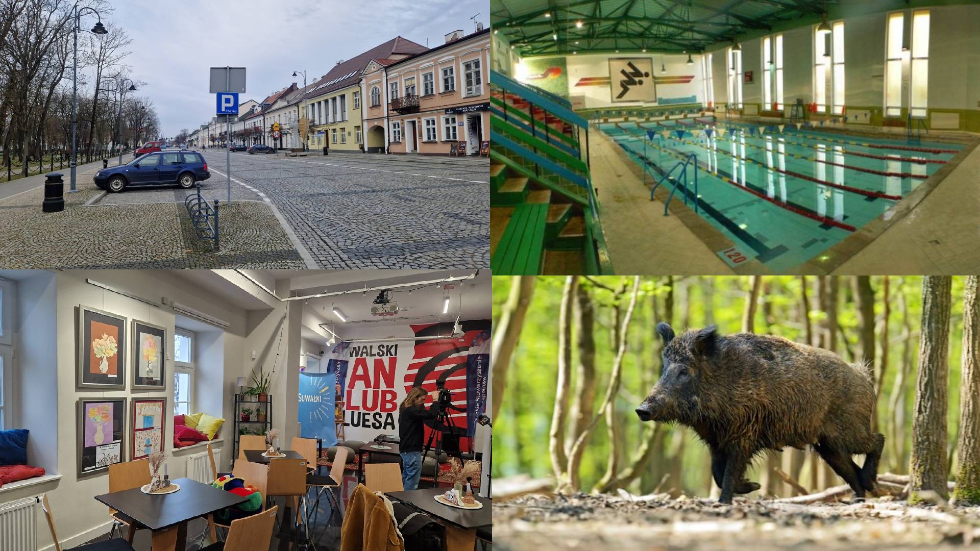 Zdarzyło się w tygodniu - podsumowała Areta Topornicka