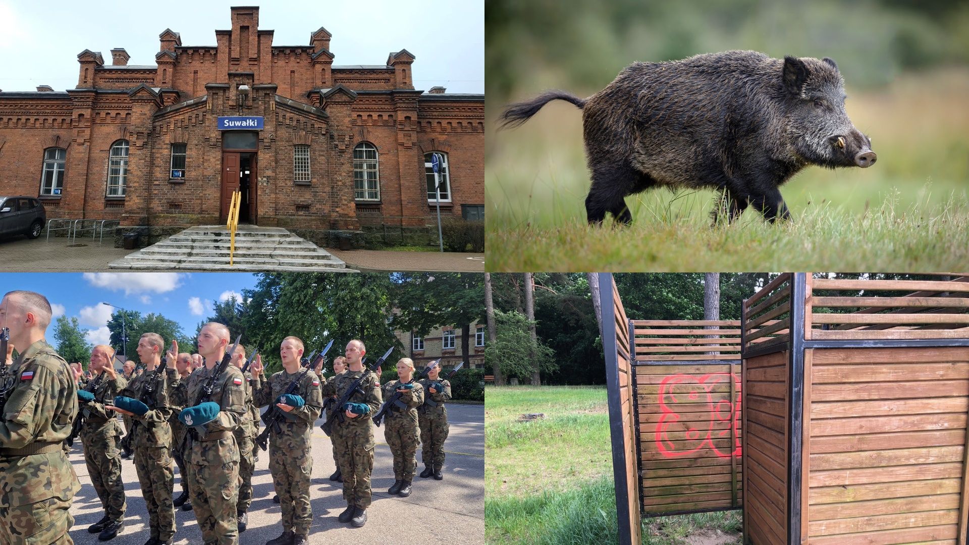 Zdarzyło się w tygodniu - podsumowała Areta Topornicka