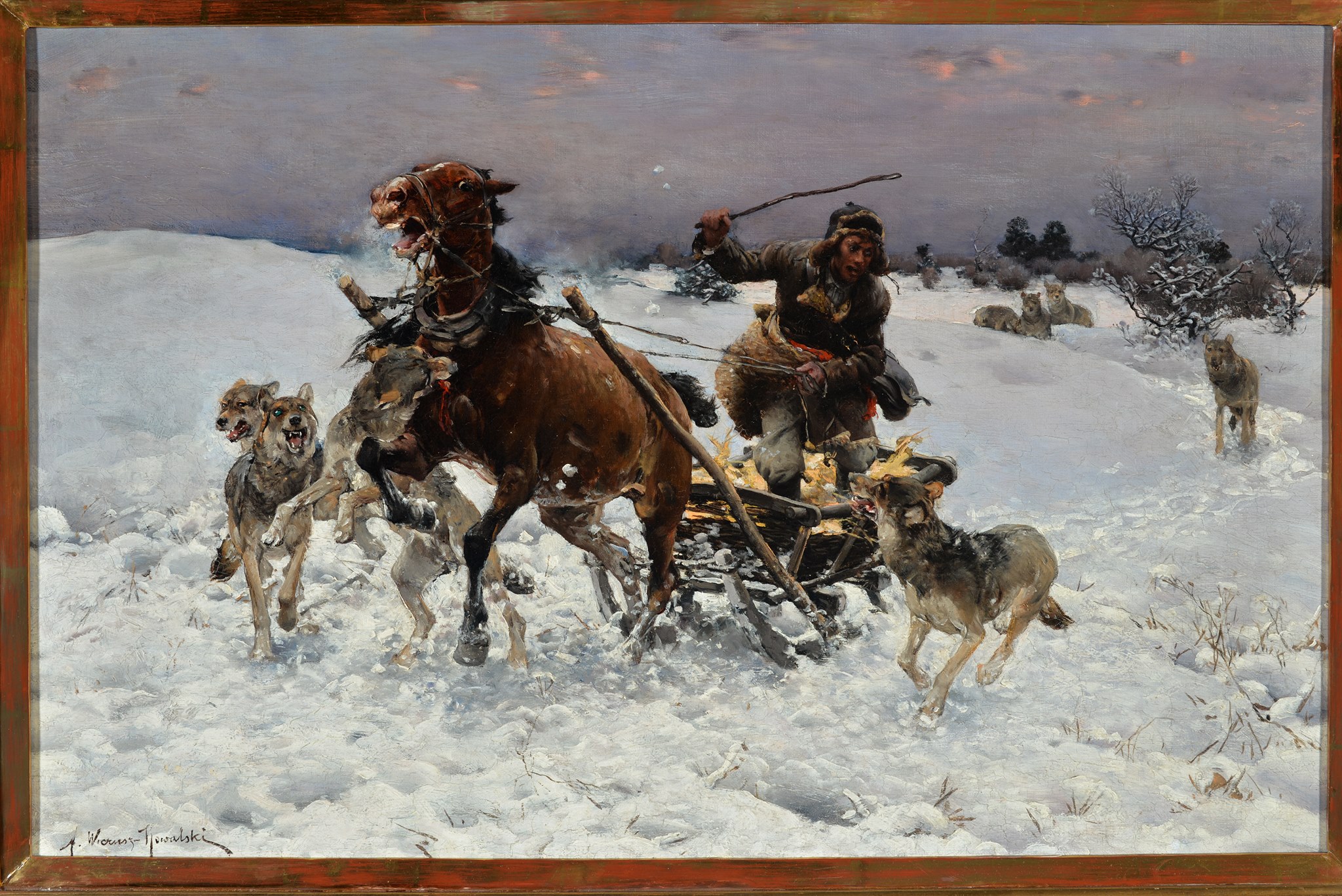 "Osaczony" - to kolejny obraz Alfreda Wierusza - Kowalskiego jaki zakupiło Muzeum Okręgowe w Suwałkach