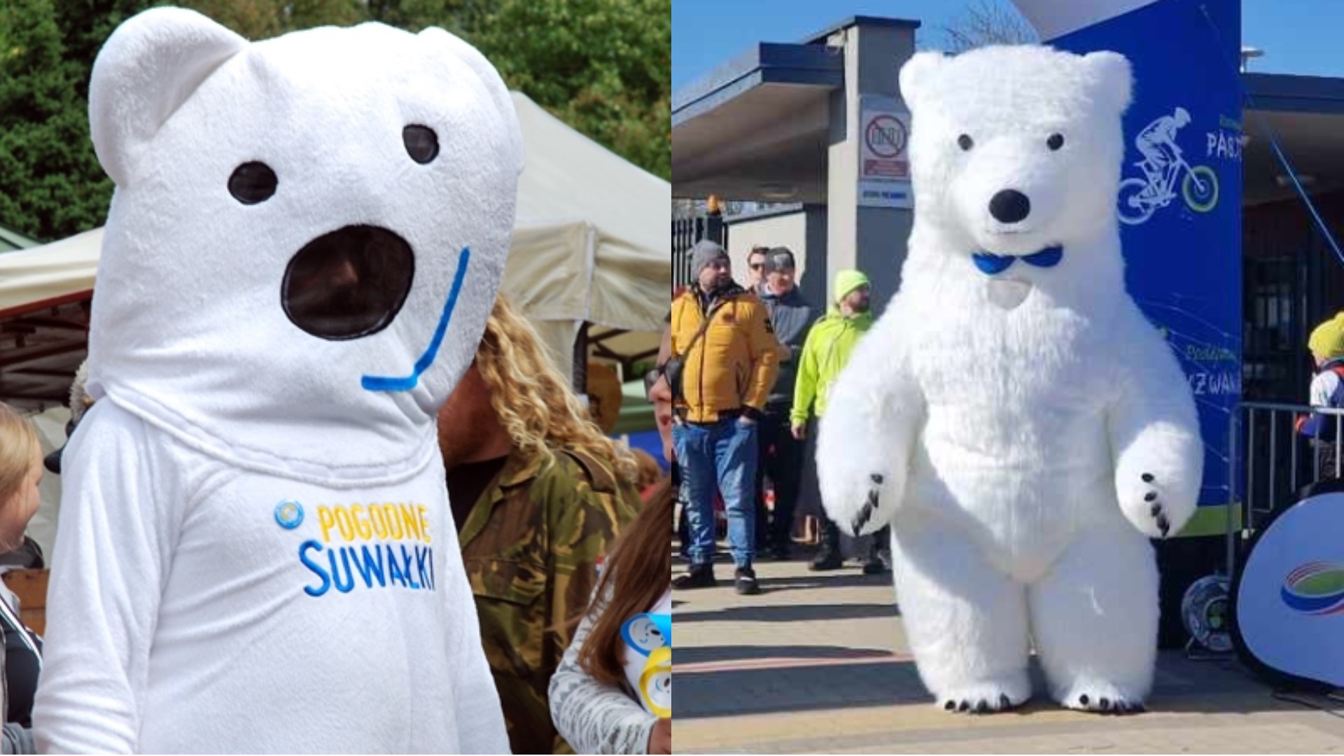 Gdzie jest Miś UśMich?