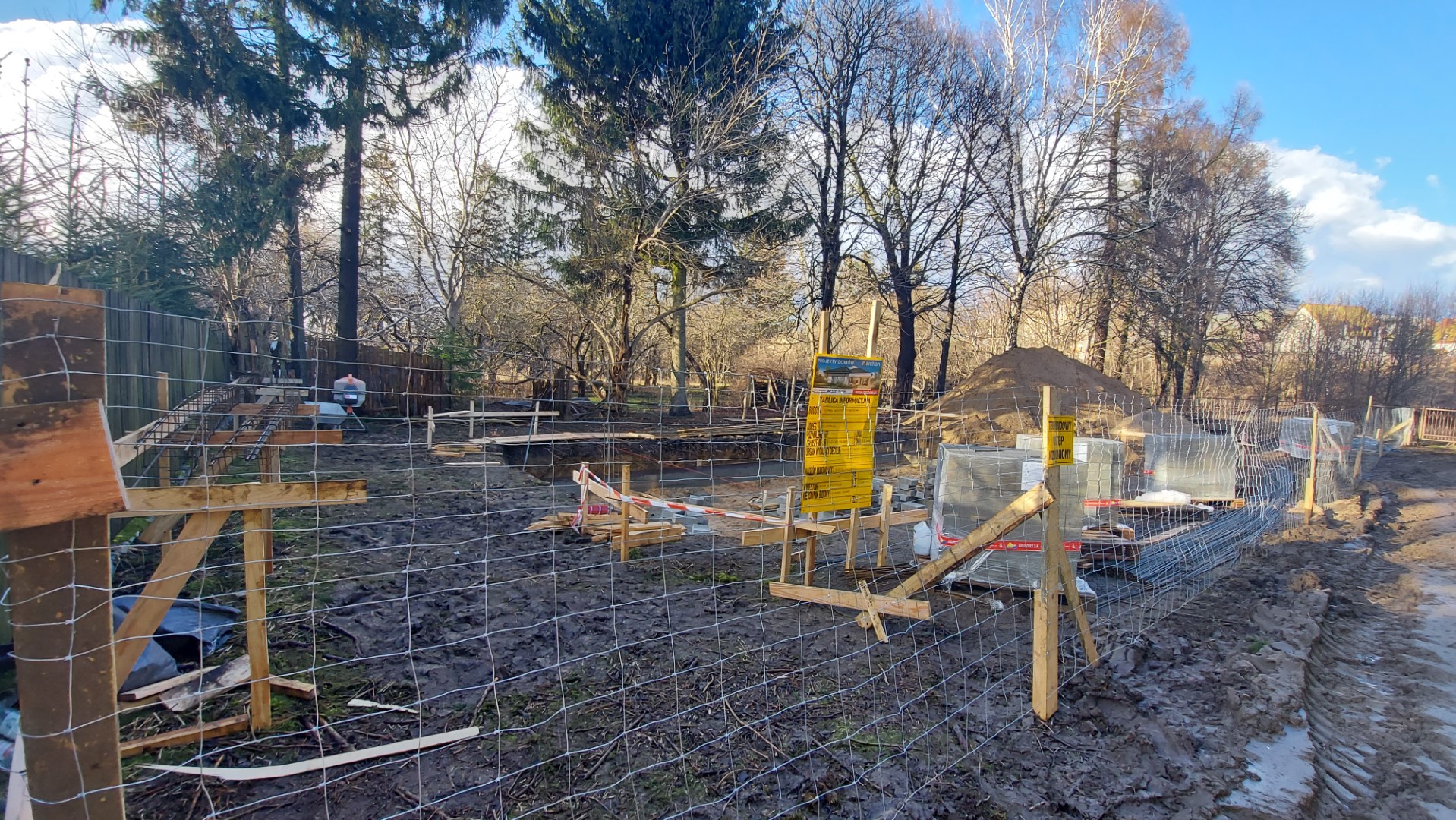 Suwalczanin zarzuca urzędnikom, że wydali wyrok na blisko stuletnie drzewa