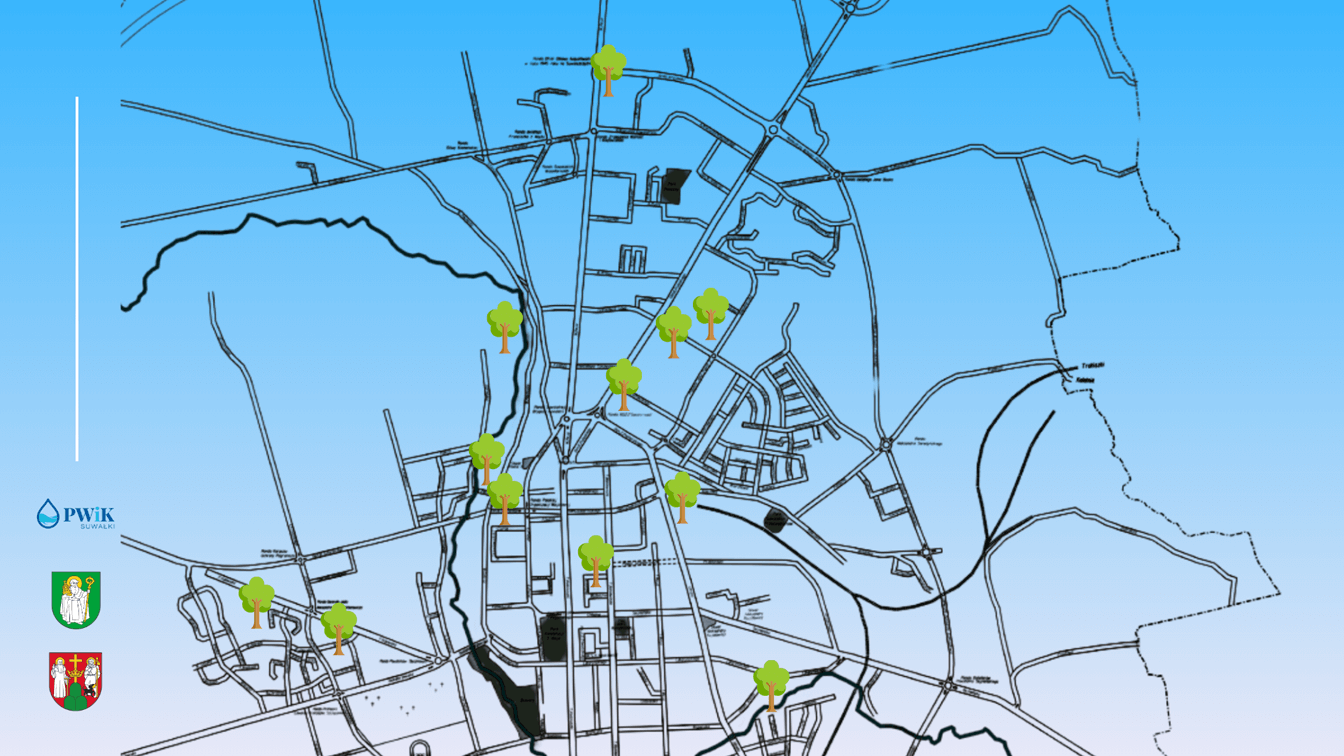 Mniej betonu, więcej drzew. Suwałki przejdą "zieloną" metamorfozę