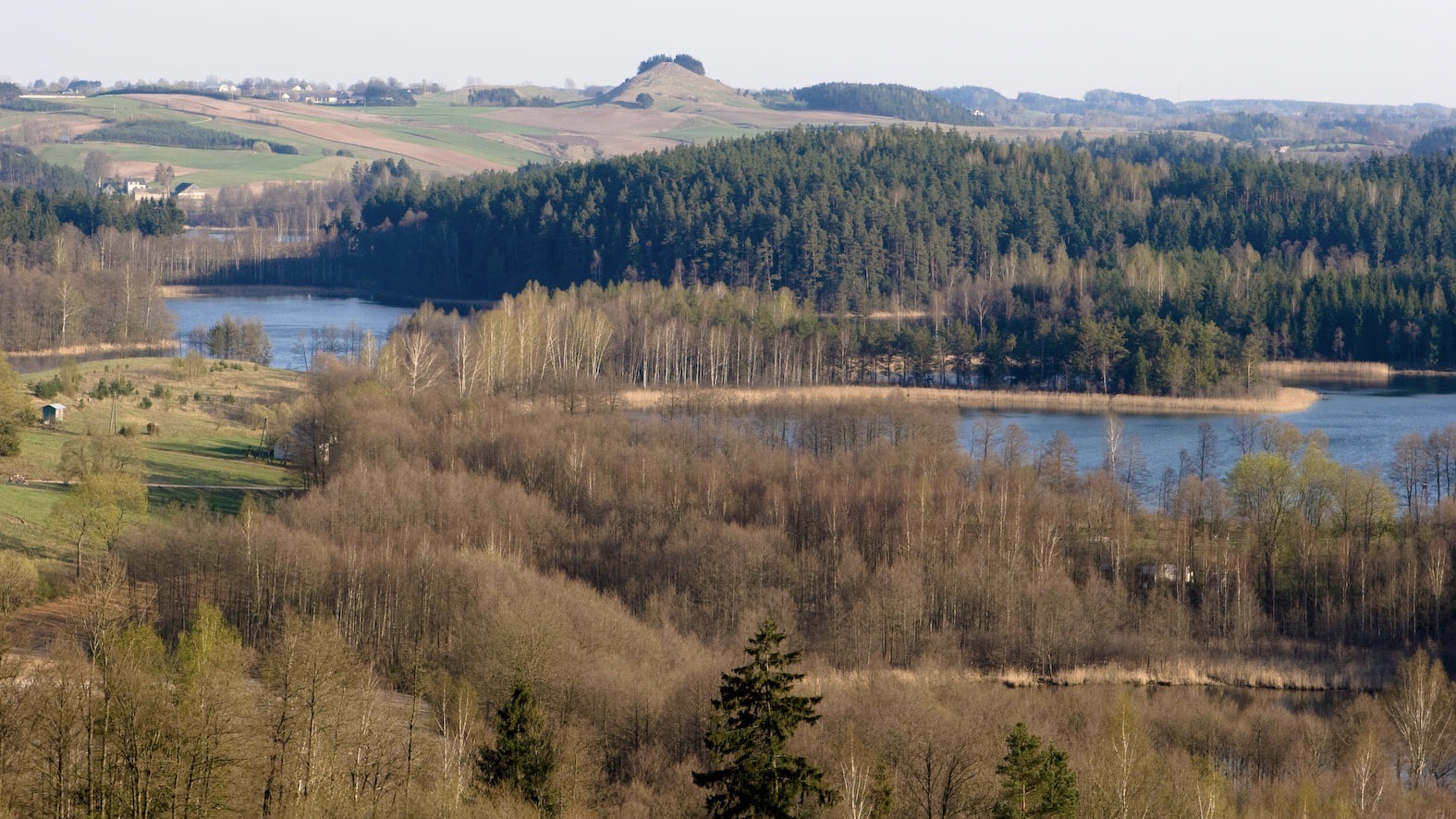 Na wygląd powstających metalowych wież widokowych narzekają turyści odwiedzający Suwalski Park Krajobrazowy