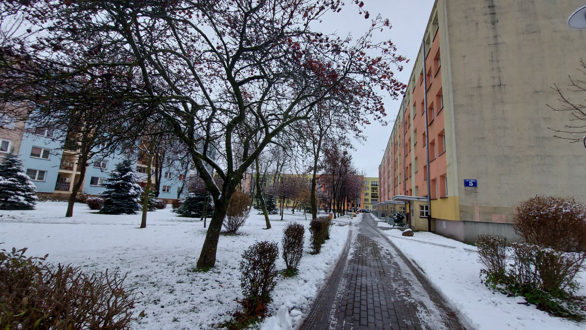 Między blokami ma być zieleń, czy samochody?