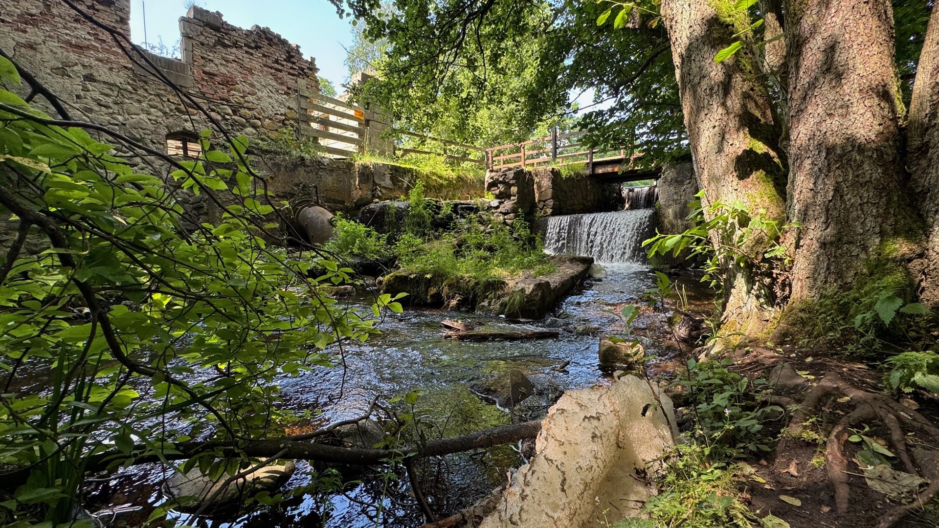 Długi majowy weekend na Suwalszczyźnie. Na turystów czeka mnóstwo atrakcji