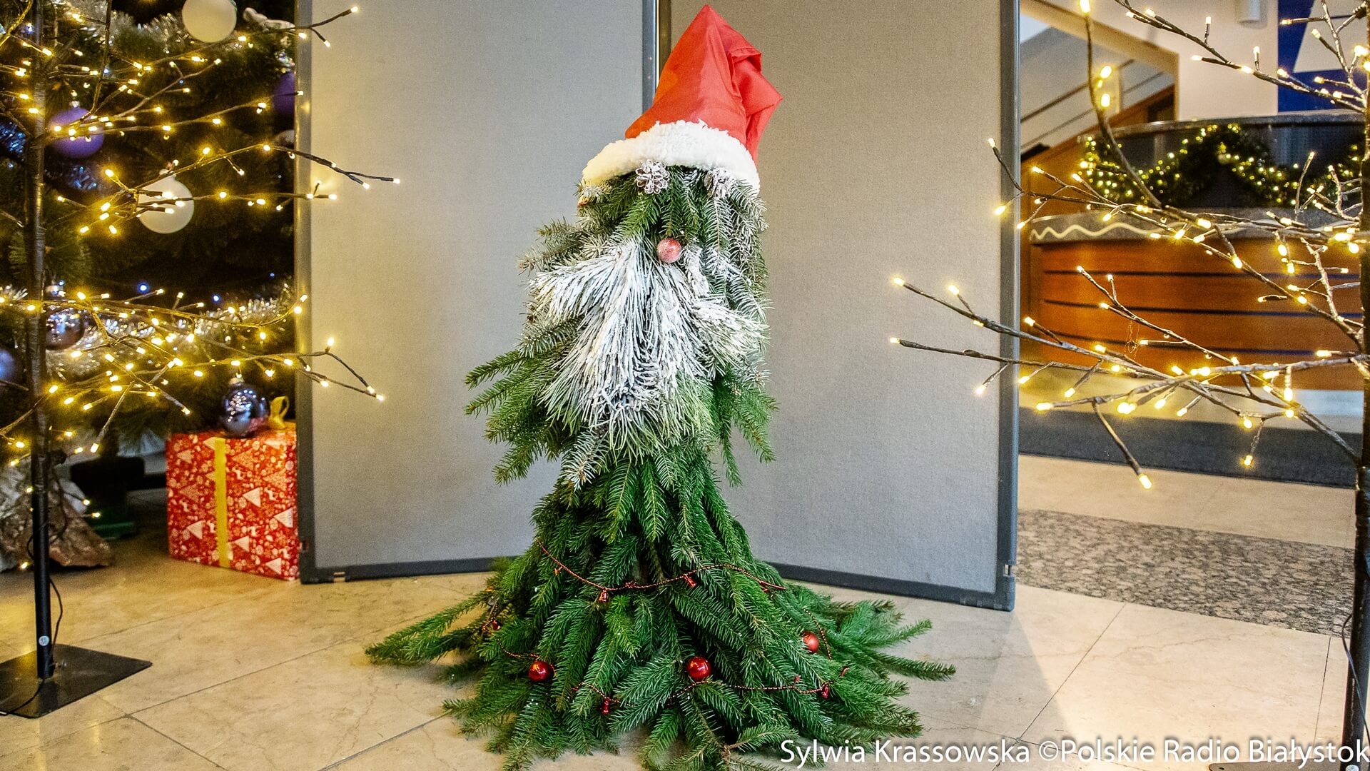 Komunikaty Gwiazdki z książką i podziękowania