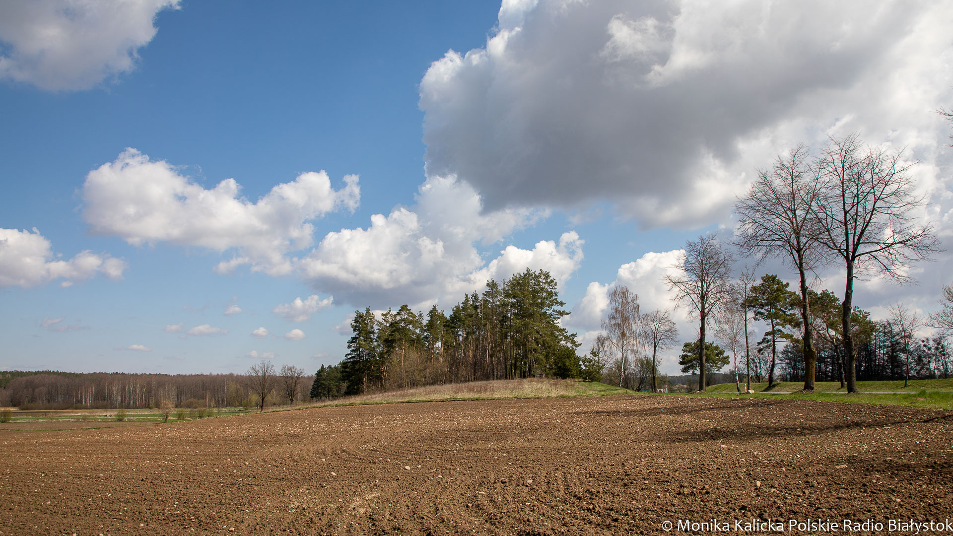 Rolnicy z dwóch podlaskich powiatów z większymi działkami do upraw