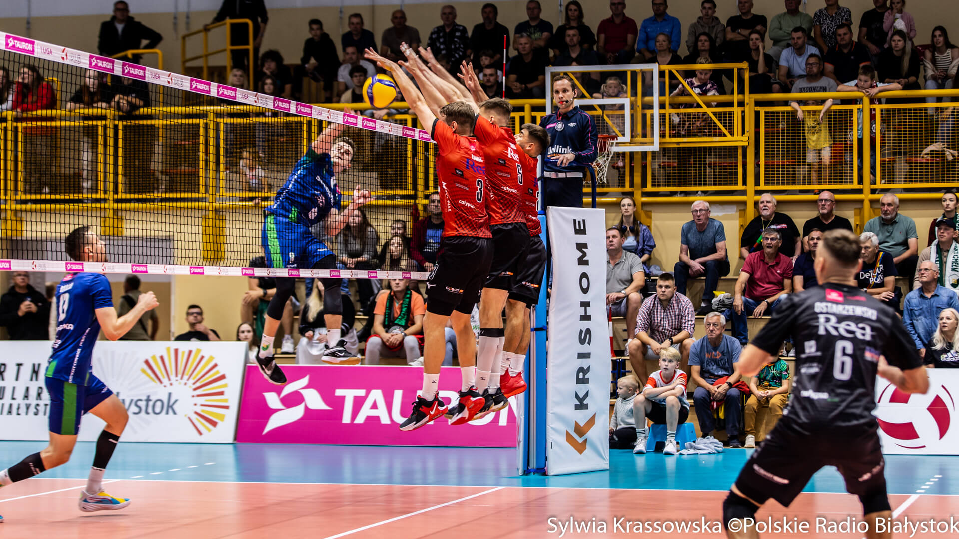 Tauron 1. Liga: siatkarze REA BAS-u Białystok przegrywają z Bogdanką Arka Chełm 0:3 [zdjęcia, wideo]