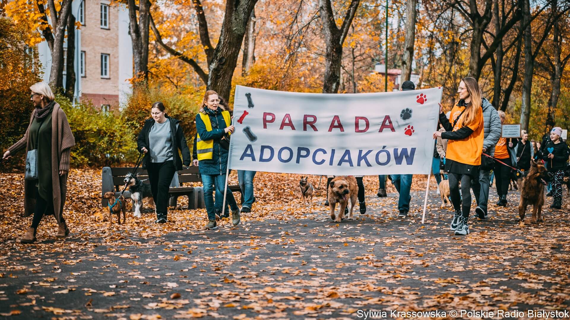 "Parada Adopciaków" w białostockim Parku Planty [zdjęcia]