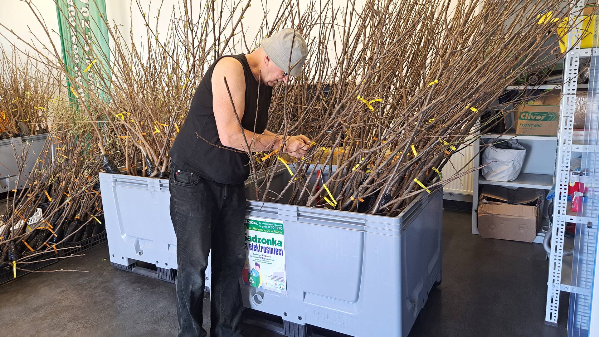 W Łomży zużyty sprzęt elektroniczny można wymienić na sadzonkę - trwa akcja "Sadzonka za elektrośmieci"