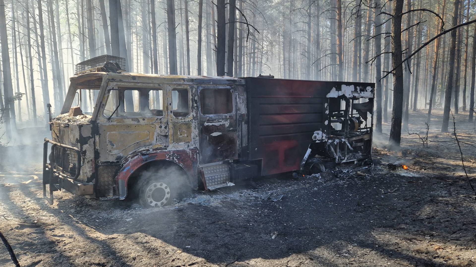 Pożar lasu w pobliżu Kleszczel - gasiło go ponad 30 zastępów strażaków [zdjęcia]
