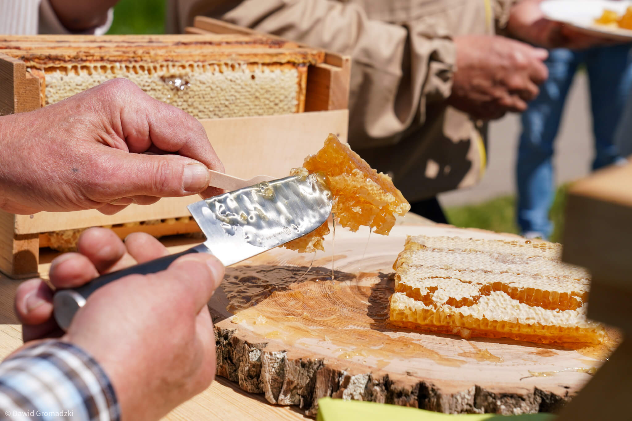 Rozpoczęło się pierwsze tegoroczne miodobranie w Białymstoku