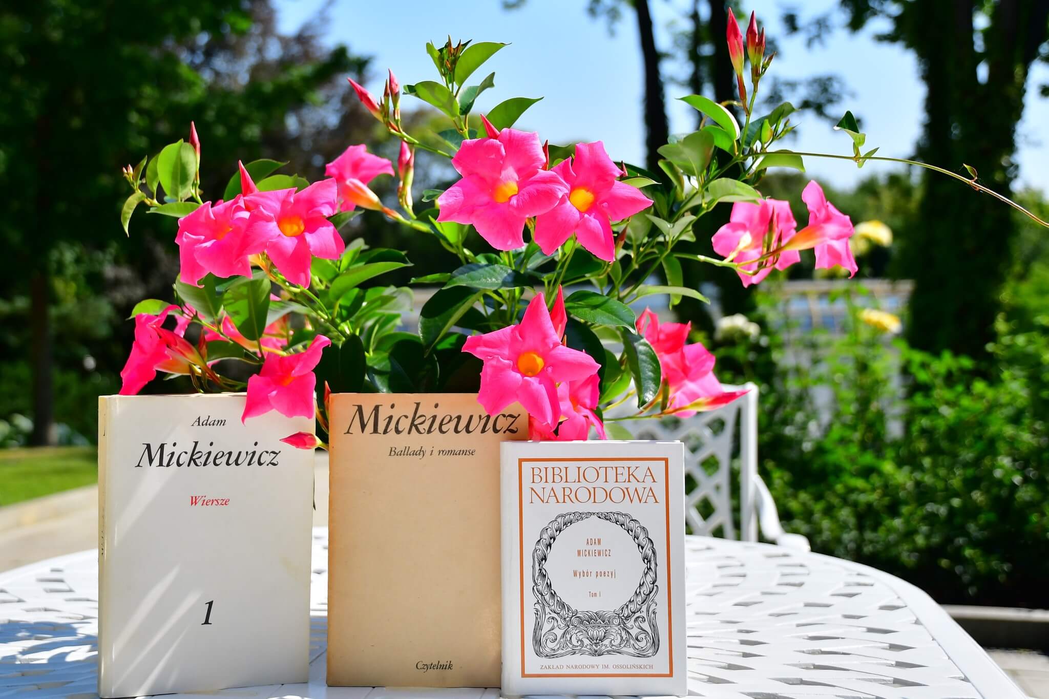 Narodowe Czytanie „Ballad i romansów” Adama Mickiewicza w Polskim Radiu Białystok