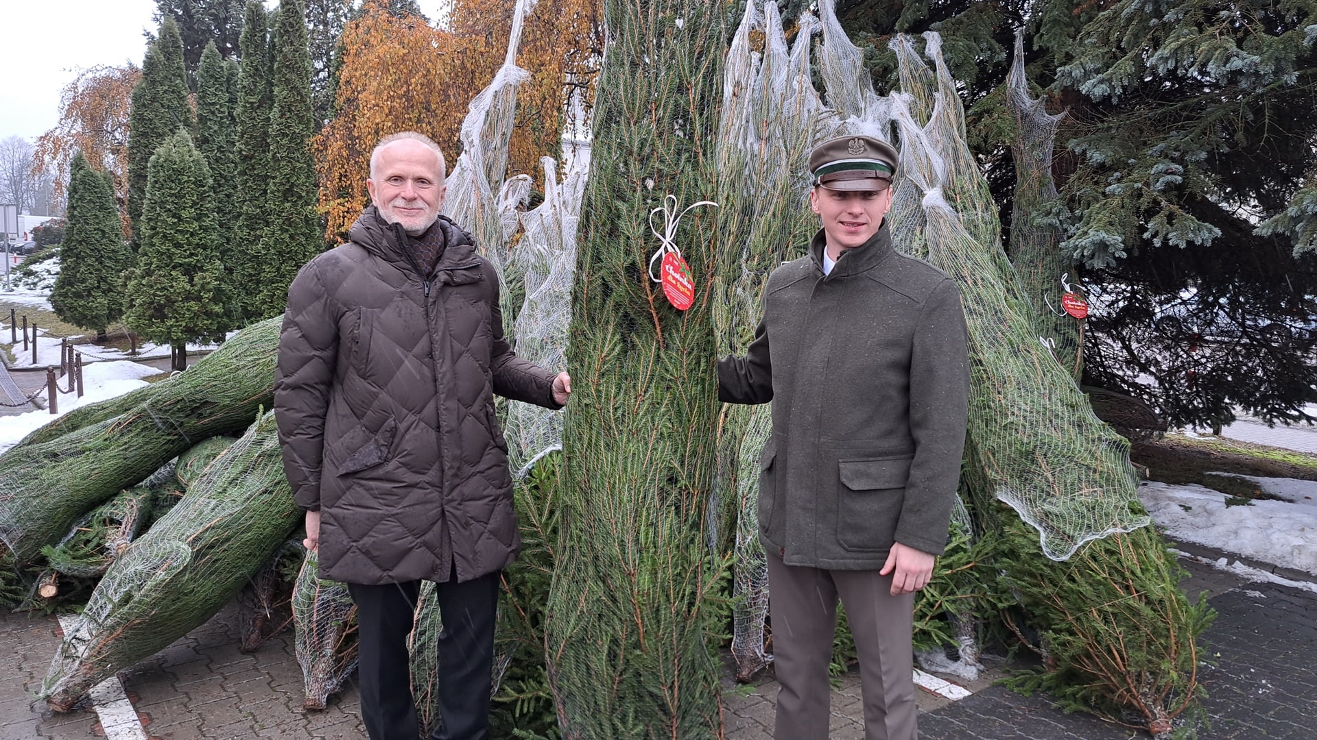 Oddaj krew, a otrzymasz choinkę - kolejna edycja wspólnej akcji Lasów Państwowych i Narodowego Centrum Krwi