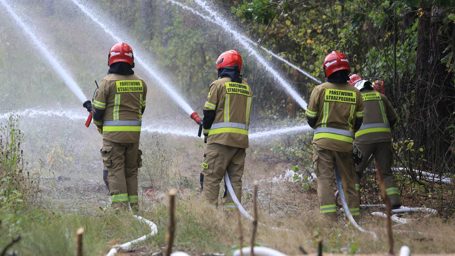 Strażacy ćwiczyli gaszenie pożaru lasu