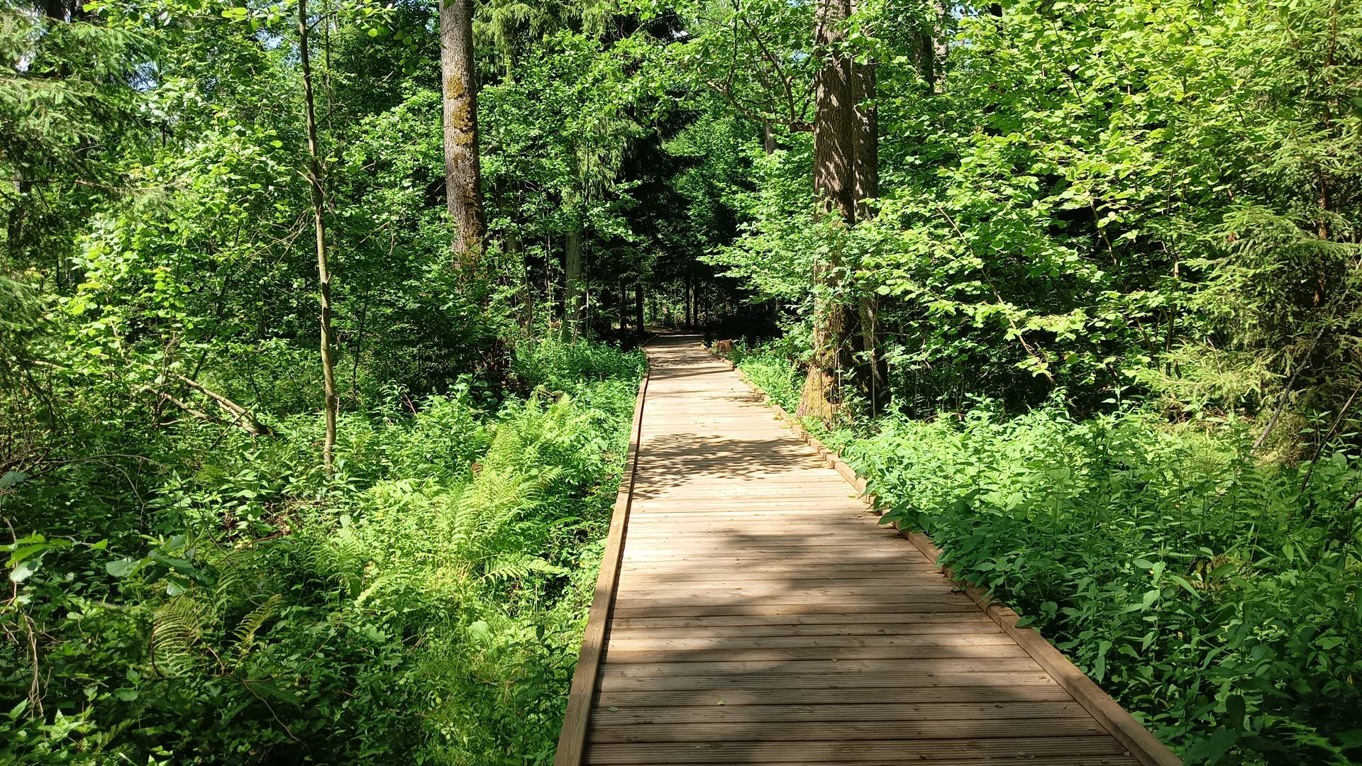 Remont kładek w WPN - będą gotowe przed wakacjami