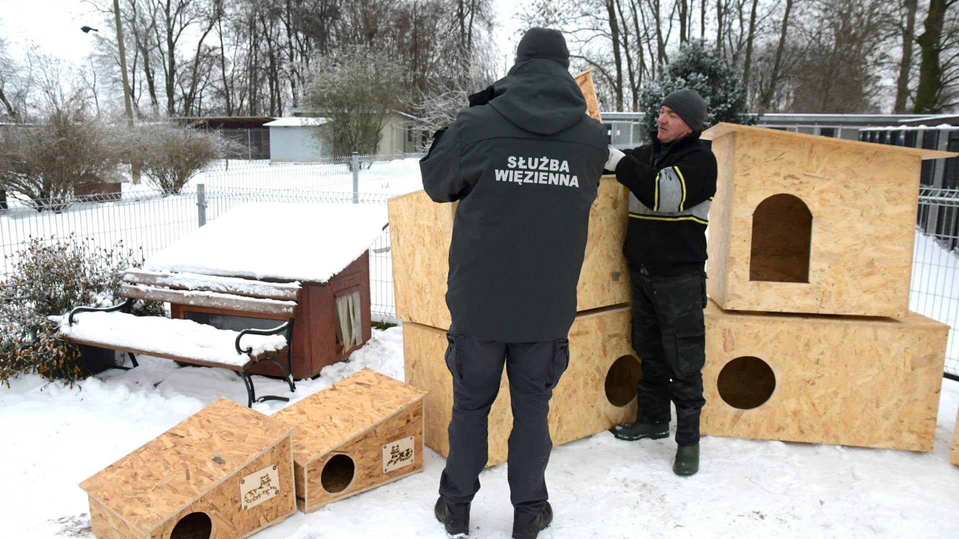 Pracownicy ZK w Czerwonym Borze przekazali budy do łomżyńskiego schroniska dla zwierząt