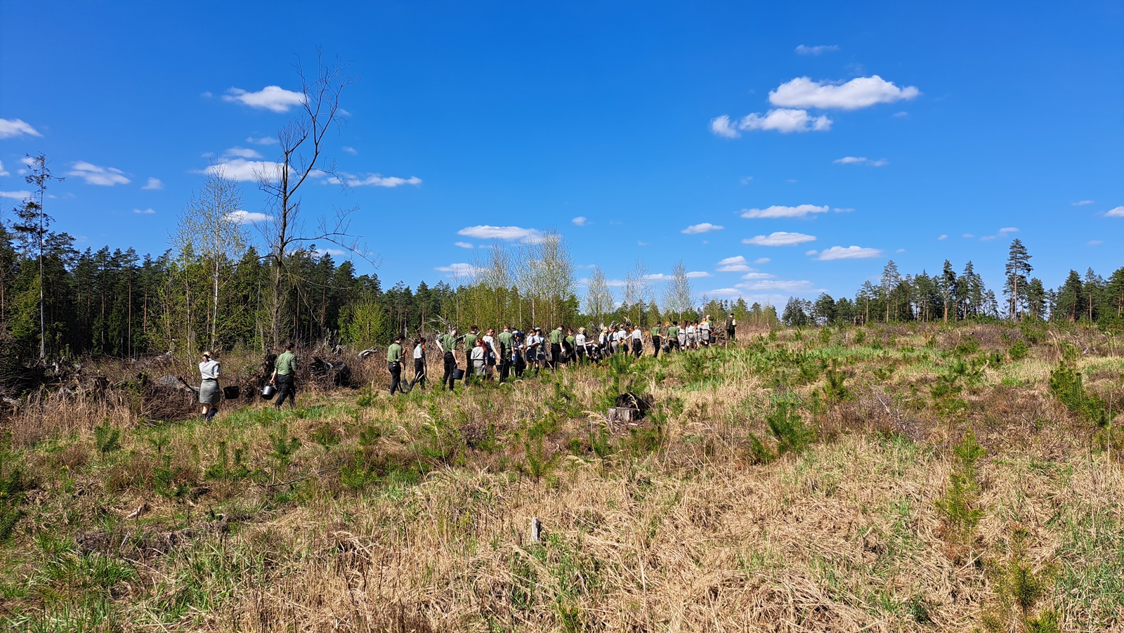 Harcerze sadzili las w Cieliczance koło Supraśla