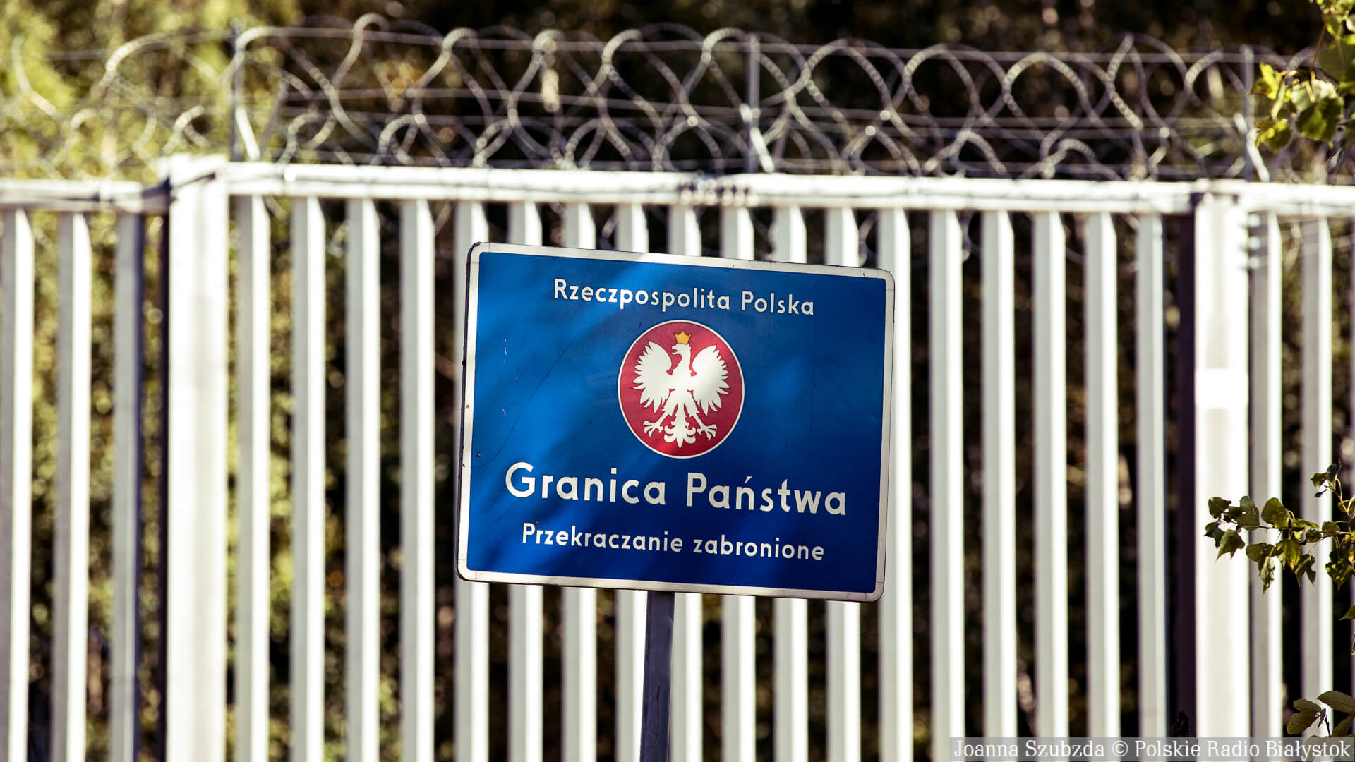 Żandarmeria Wojskowa zbiera dowody ws. postrzelenia migranta przy granicy z Białorusią