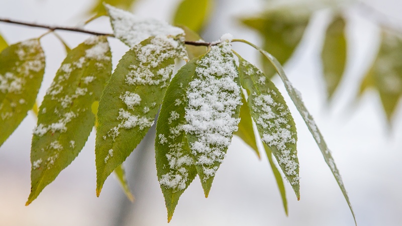 Kwiecień plecień. I mamy lekki atak zimy