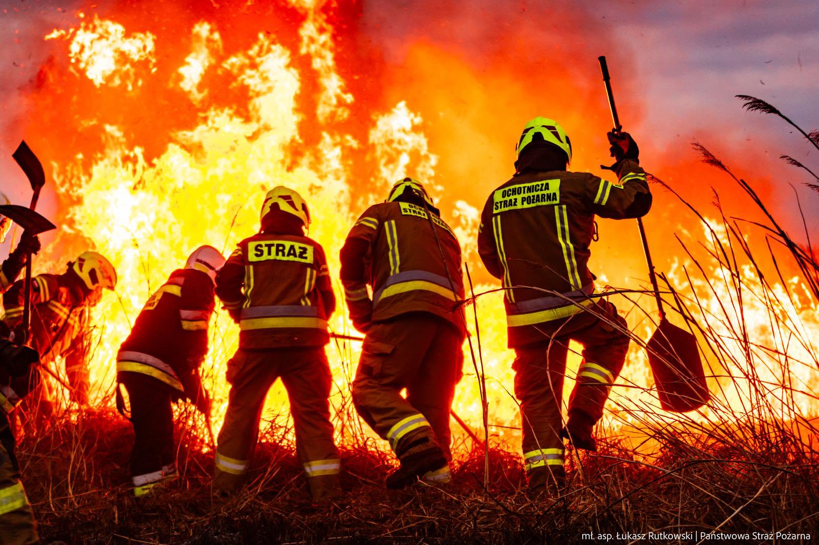 Ogromny pożar w Biebrzańskim Parku Narodowym – niemal 90 hektarów zniszczone [zdjęcia]