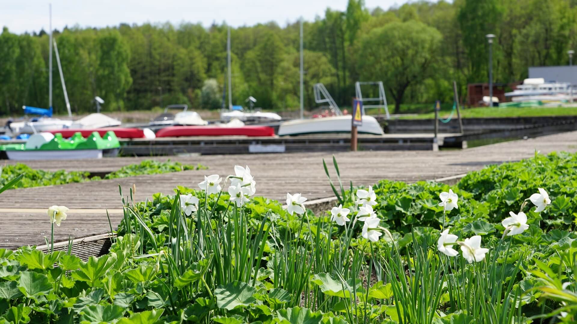 Długi weekend na sportowo i kulturalnie. Gdzie warto się wybrać?