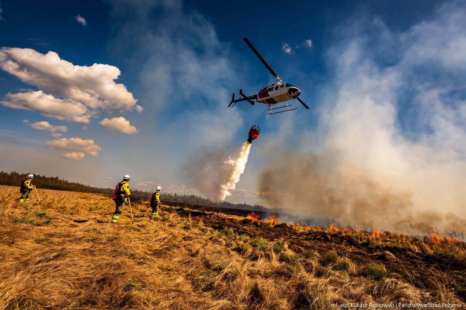 Zagrożenie pożarami jest duże - alarmują białostoccy leśnicy