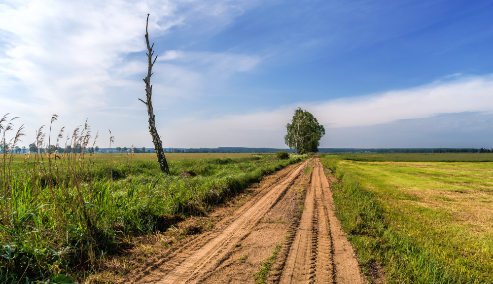 POD ZNAKIEM POGONI / ПАД ЗНАКАМ ПАГОНІ