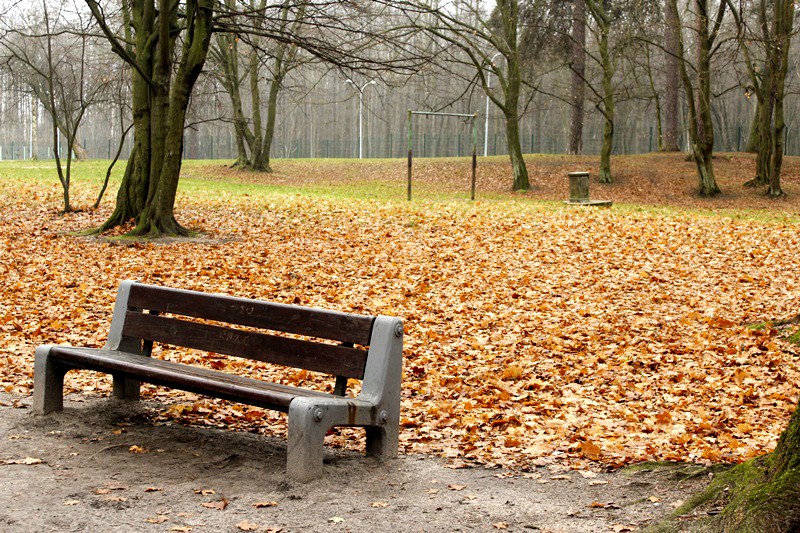 Modernizacja parku przy ulicy Kolejowej w Suwałkach