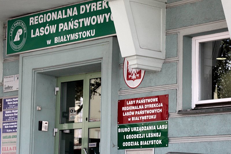 Lasy Państwowe rozpoczęły przygotowania do przebudowy leśnej drogi między Narewką a Białowieżą