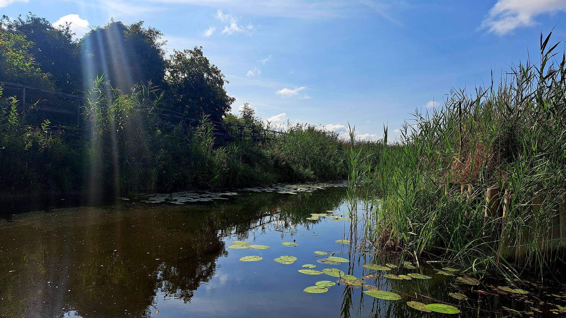 Podziwiamy piękno Narwiańskiego Parku Narodowego
