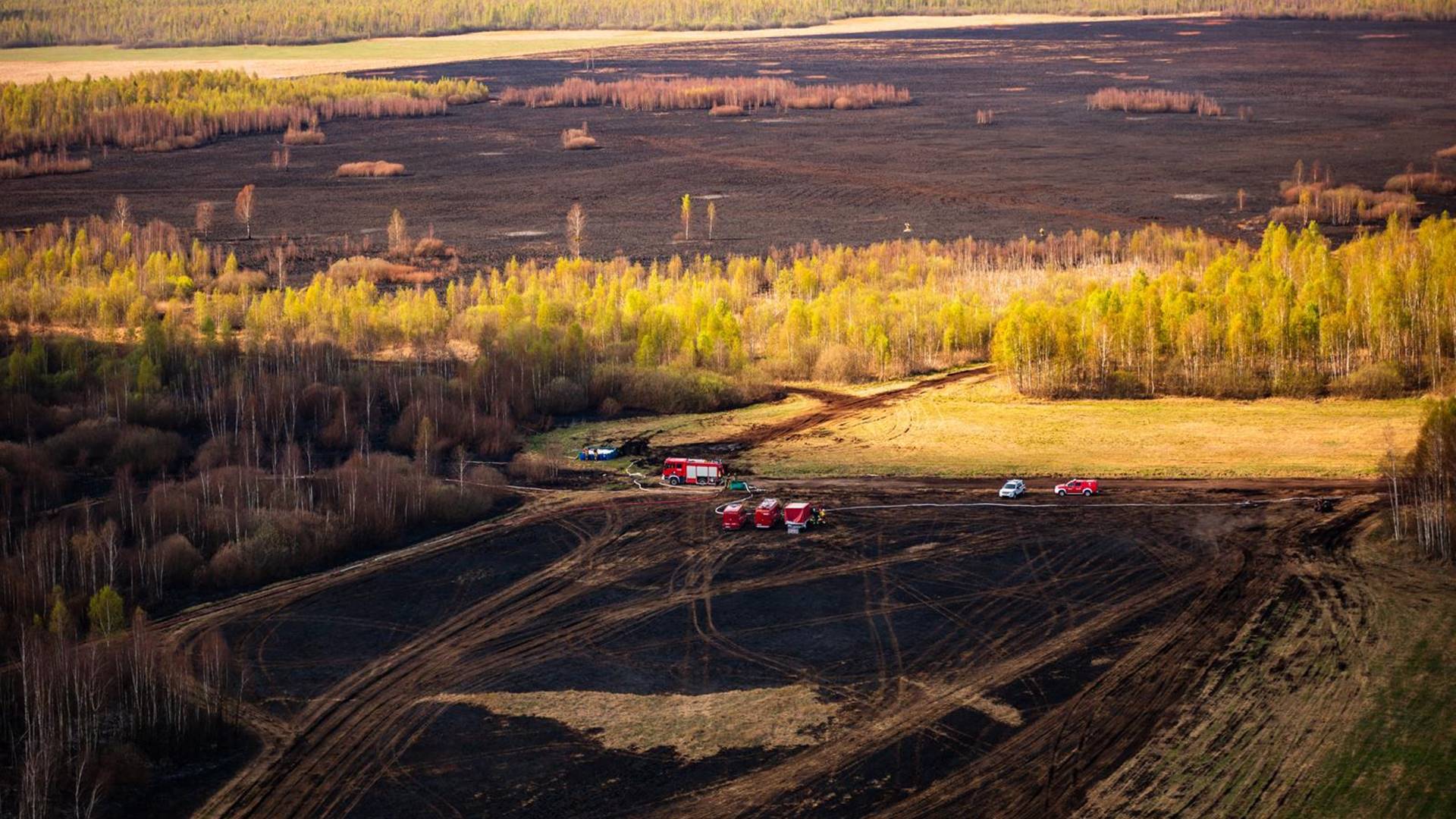 Rozpoczęło się śledztwo ws. przyczyn i okoliczności pożaru nad Biebrzą