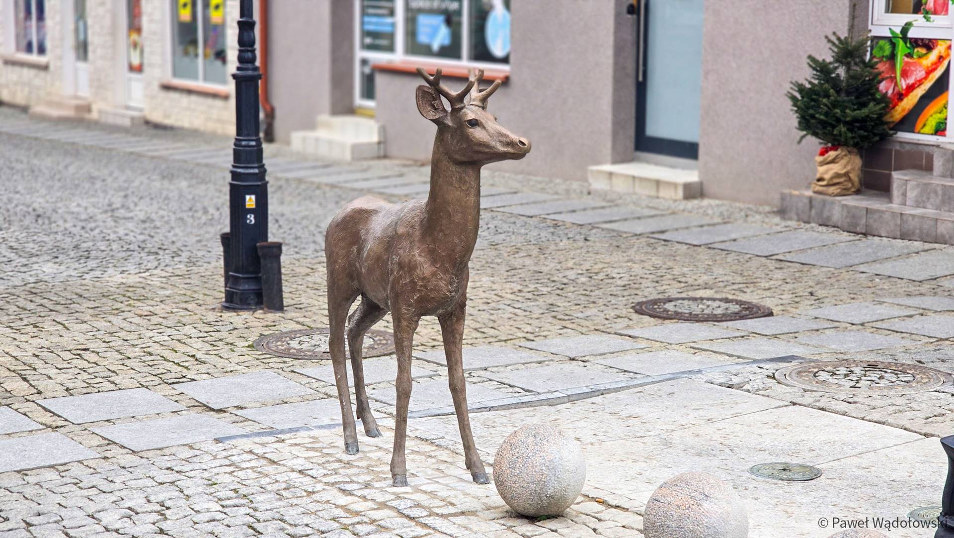 Na Starym Rynku w Łomży można już zobaczyć rzeźbę młodego jelenia z herbu miasta [zdjęcia]