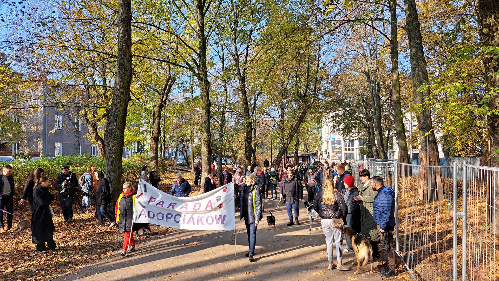 Parada Adopciaków przeszła przez białostockie Planty. Akcja zachęca do adopcji psów [wideo]