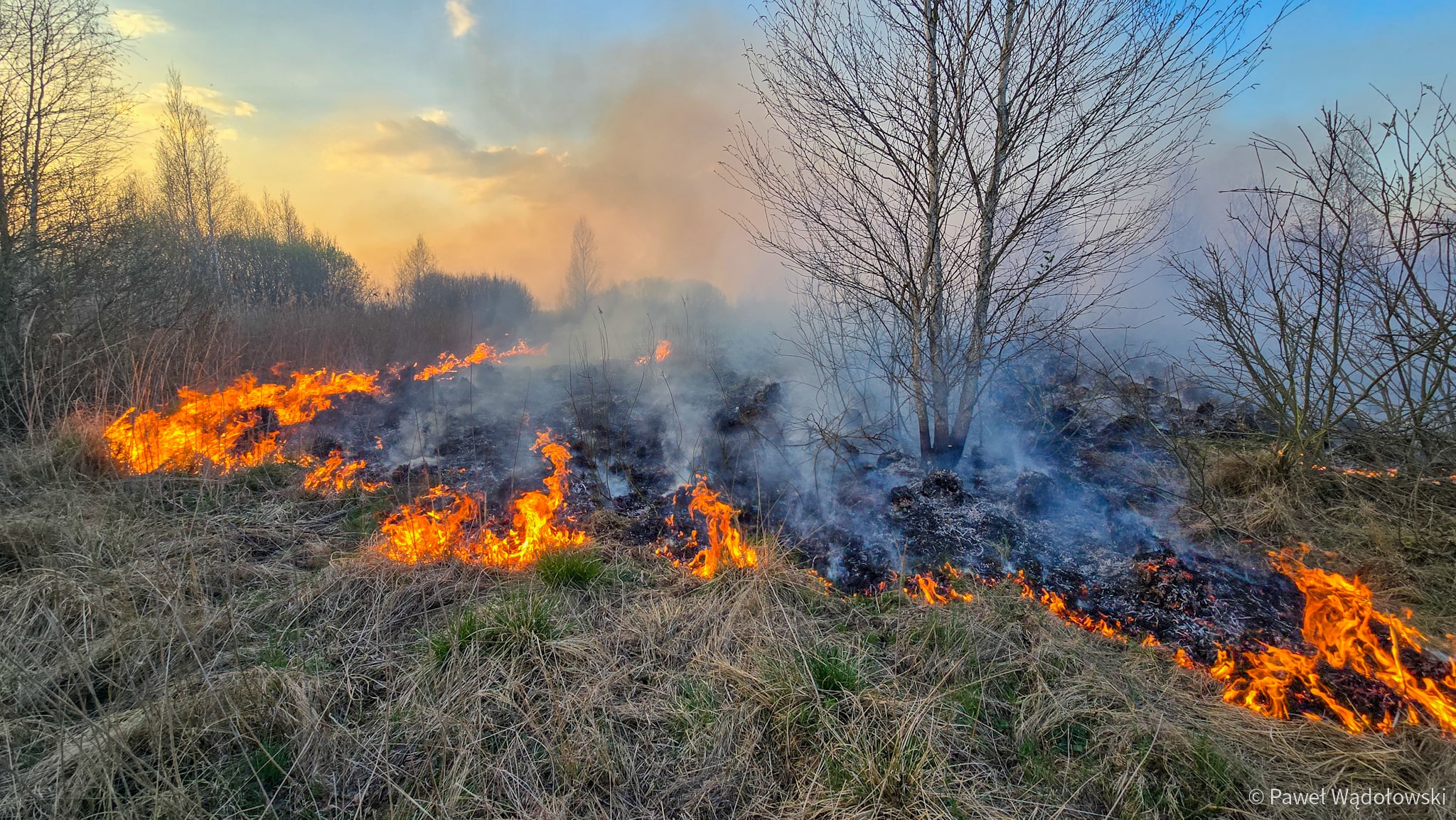 Wzrost liczby pożarów i ofiar. Będą surowsze kary dla podpalaczy