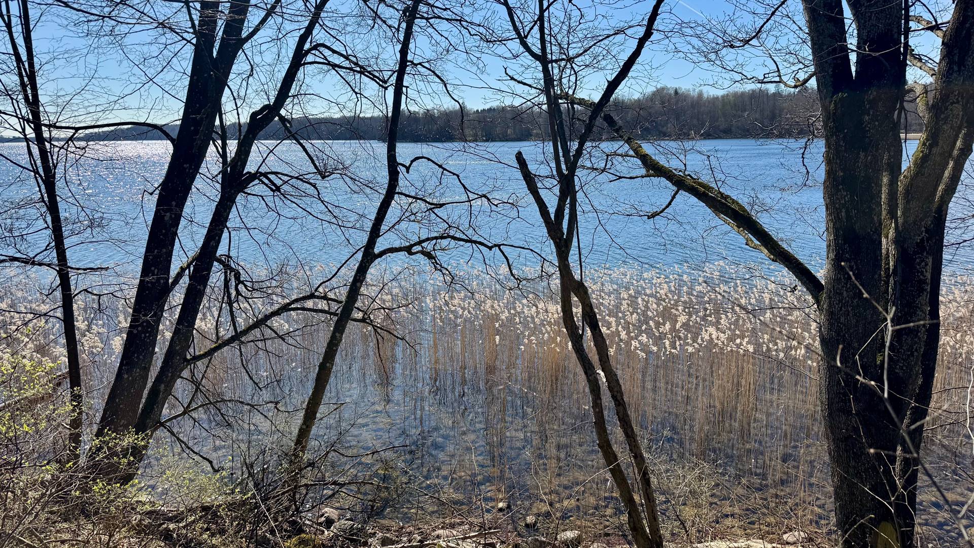 Brakuje wody w Suwalskim Parku Krajobrazowym. Sytuacja jest alarmująca w całym województwie