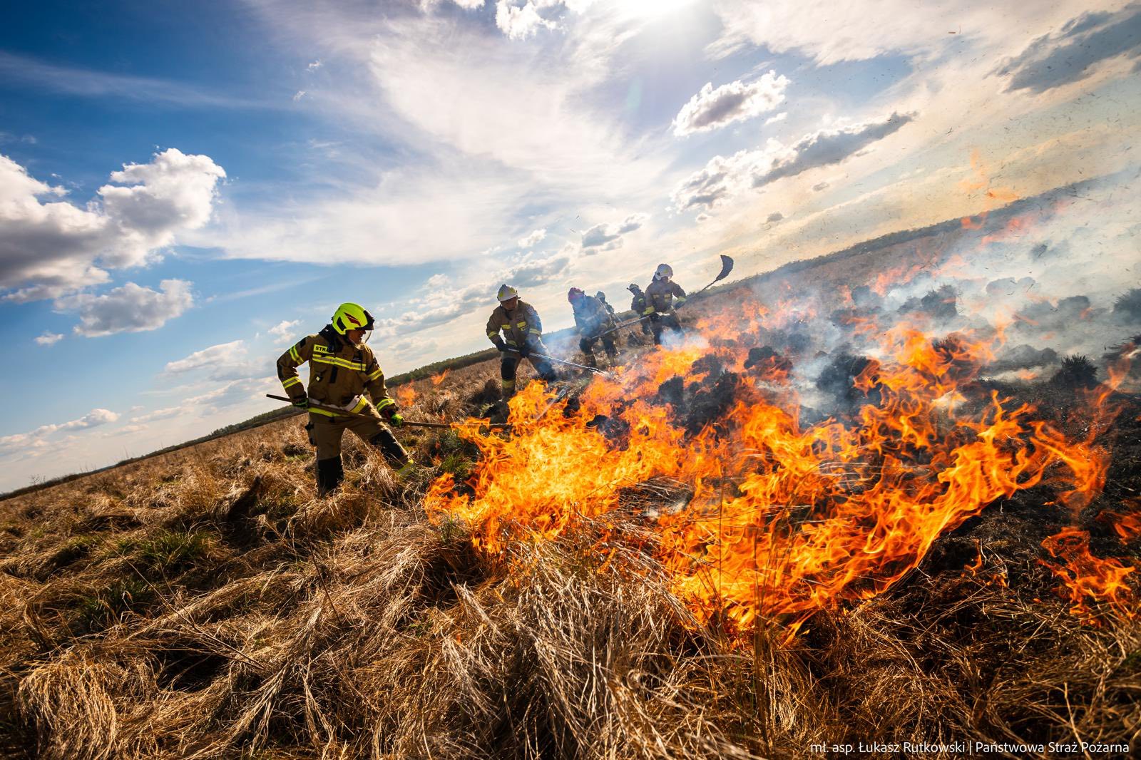 Kolejny pożar w Biebrzańskim Parku Narodowym - spłonęło już ponad 60 ha łąk i trzcin [zdjęcia]