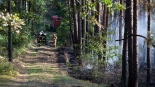 Pożar lasu w gminie Śniadowo, 30.08.2024, fot. Paweł Wądołowski
