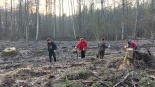 Piłkarze i kibice Jagiellonii Białystok posadzili kilkaset dębów w Lesie Solnickim, 21.03.2025, fot. Marcin Gliński